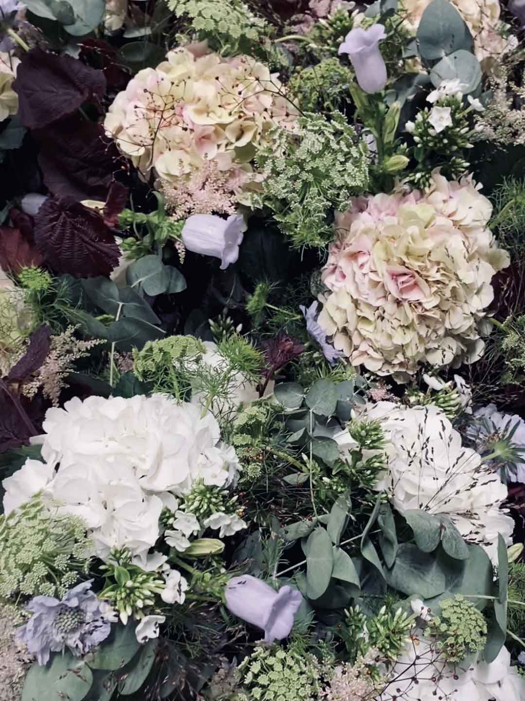 Veckans bukett med hortensia